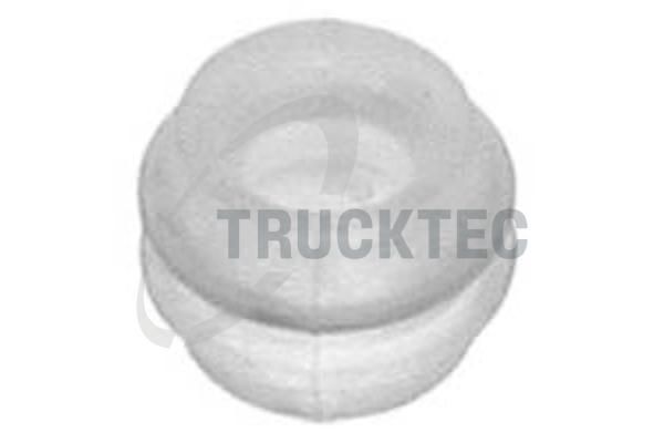 Buchse, Schaltstange