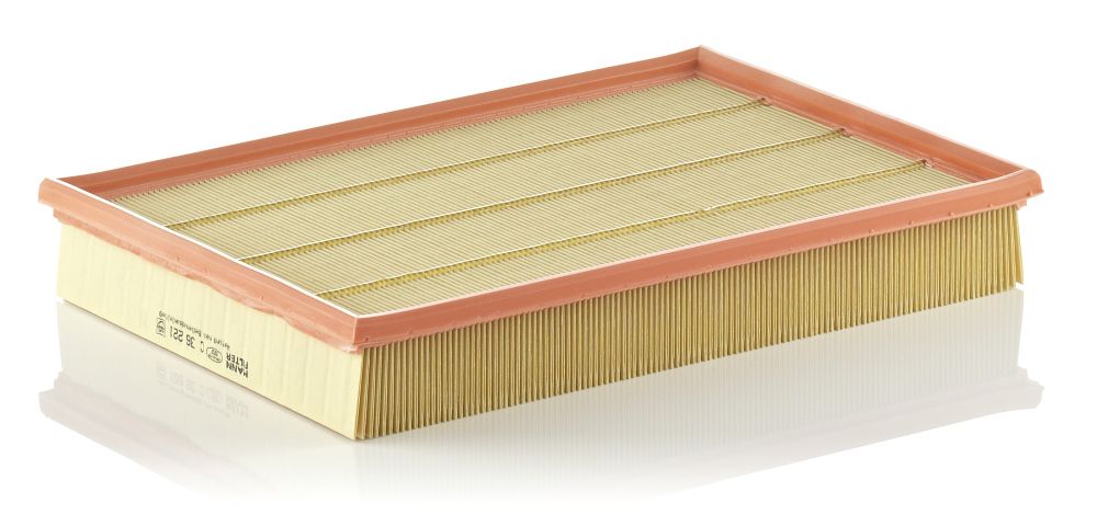 Air Filter C 36 221