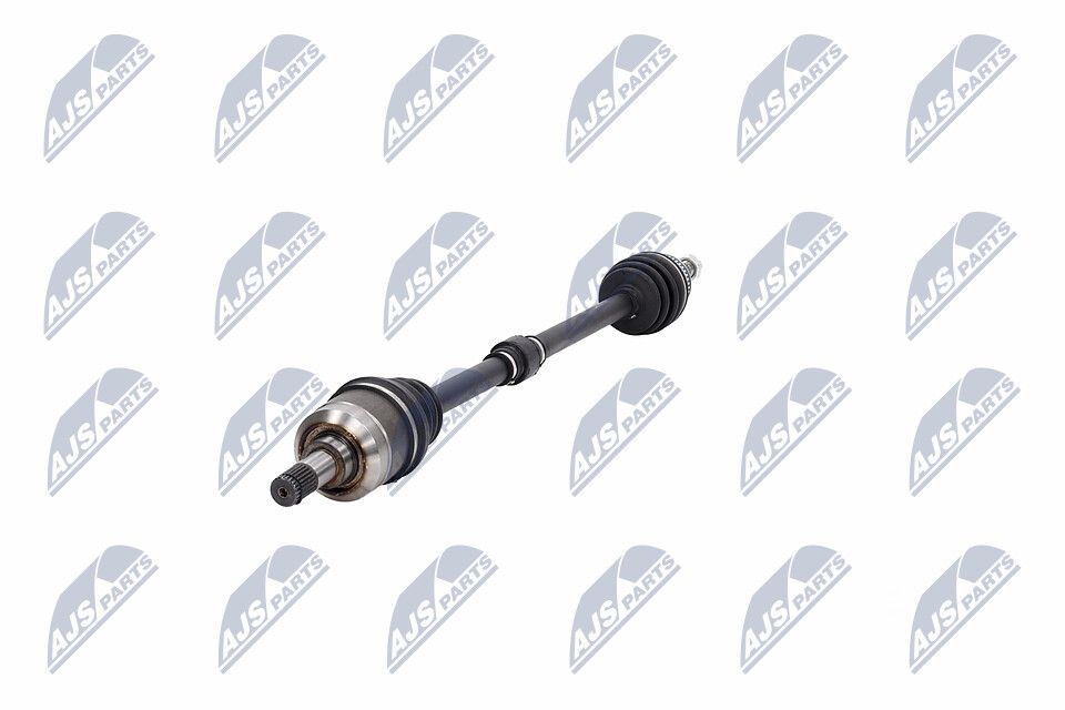 pusašis