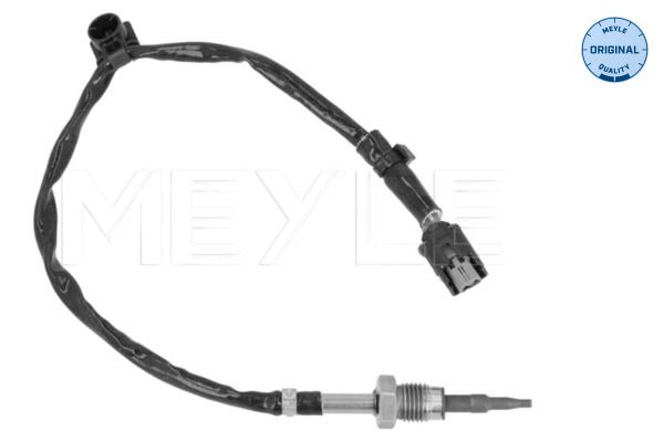 Sensor, Abgastemperatur