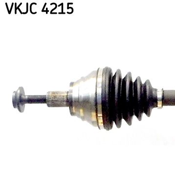 VKJC 4215_2.JPG