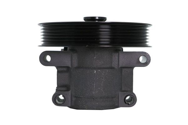 Hydraulikpumpe, Lenkung