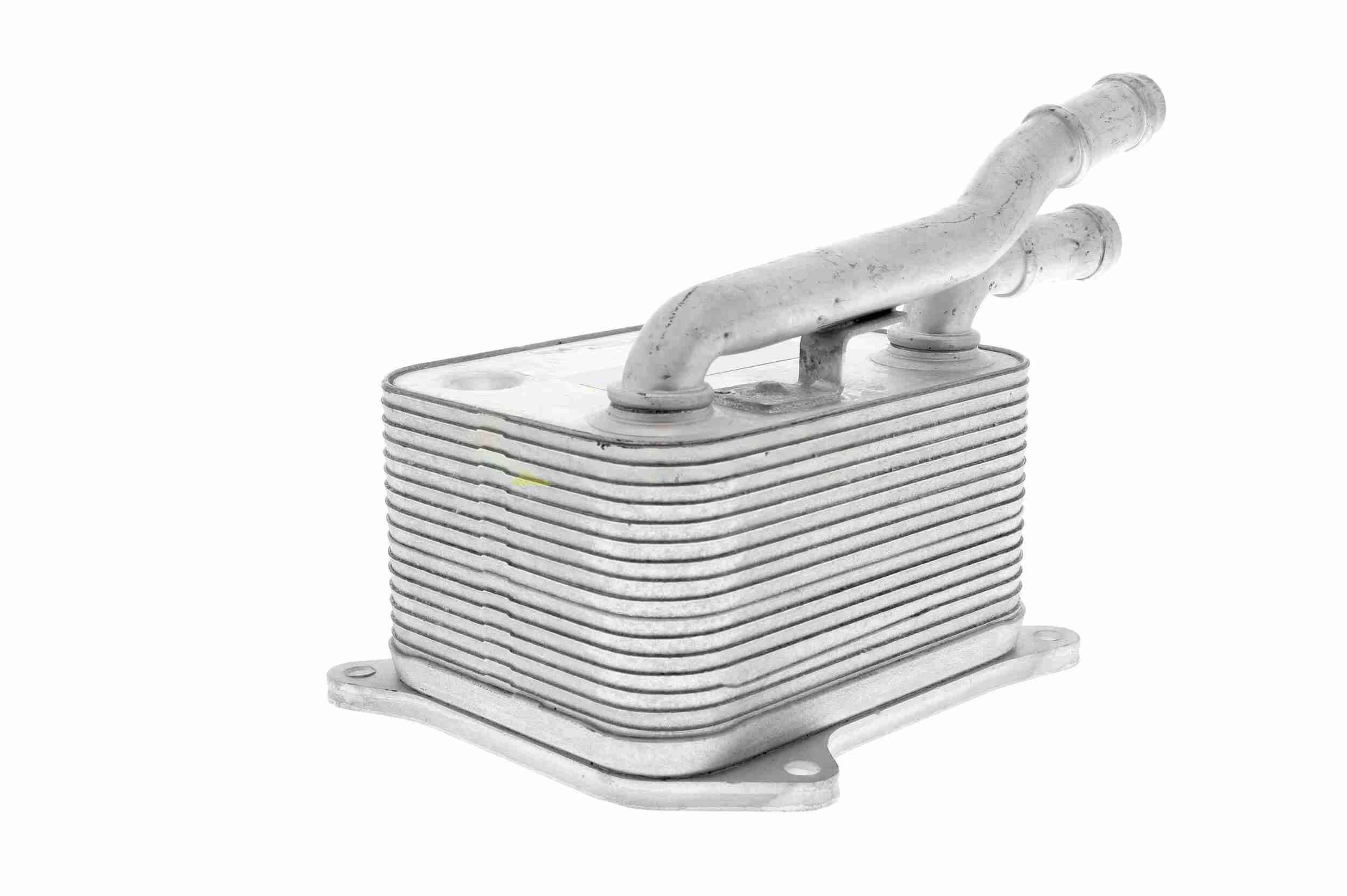 &Ouml;lk&uuml;hler, Motor&ouml;l