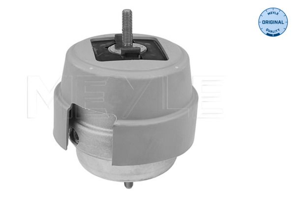 MEYLE 100 199 0192 - Lagerung, Motor