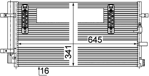 293336960.JPG