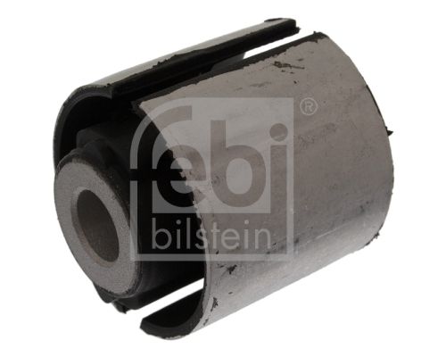 Mounting, control/trailing arm 10852