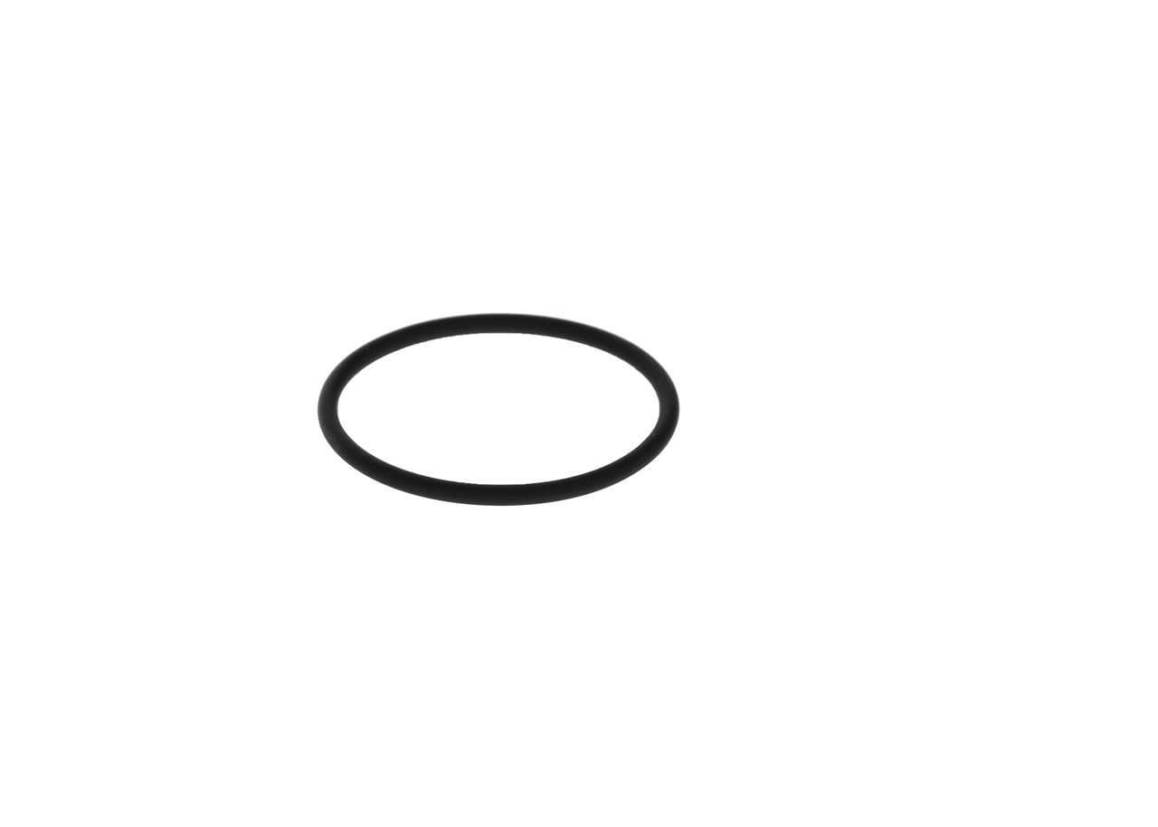 Anillo de goma
