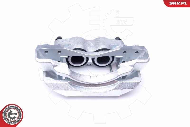 Brake Caliper 45SKV221