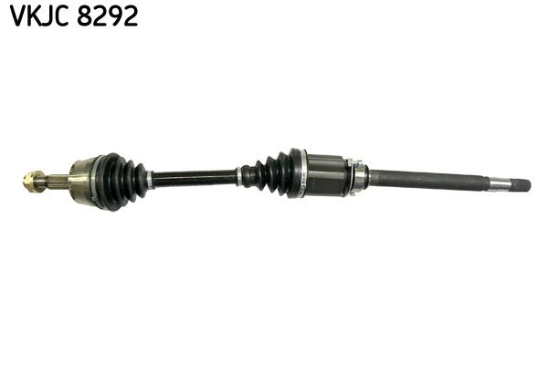 VKJC 8292.JPG