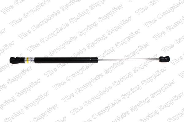 Gasfeder, Koffer-/Laderaum