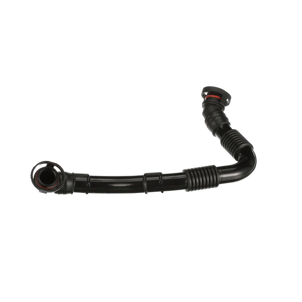 žarna, karterio alsuoklis