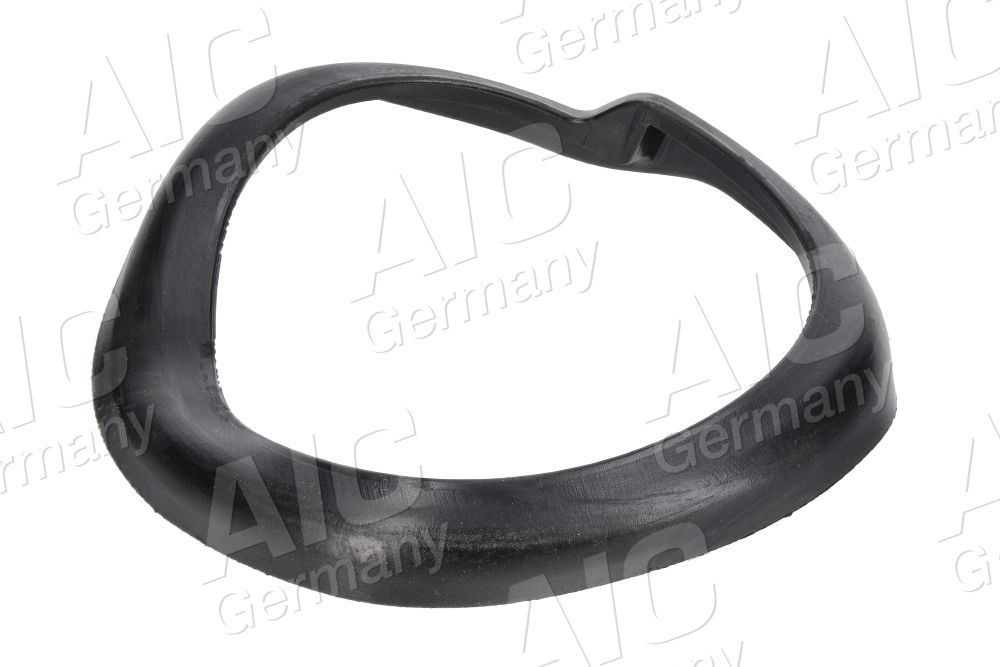 AIC 56081 - Federaufnahme