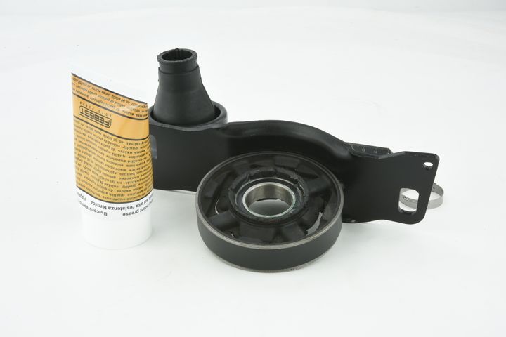 guolis, kardaninio veleno centrinis guolis