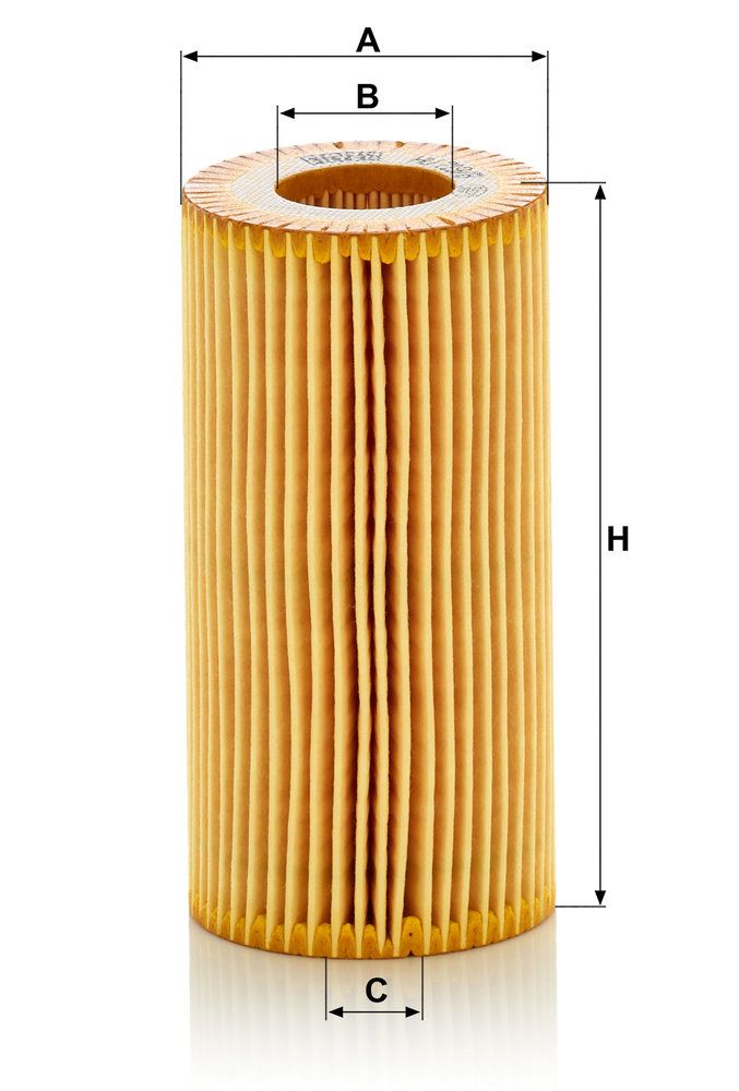 alyvos filtras
