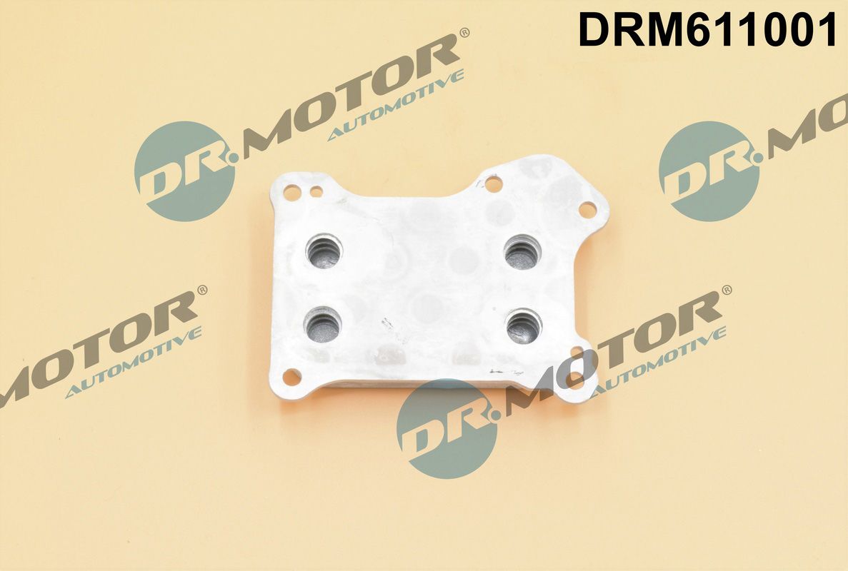 drm_drm611001_wm_02.JPG