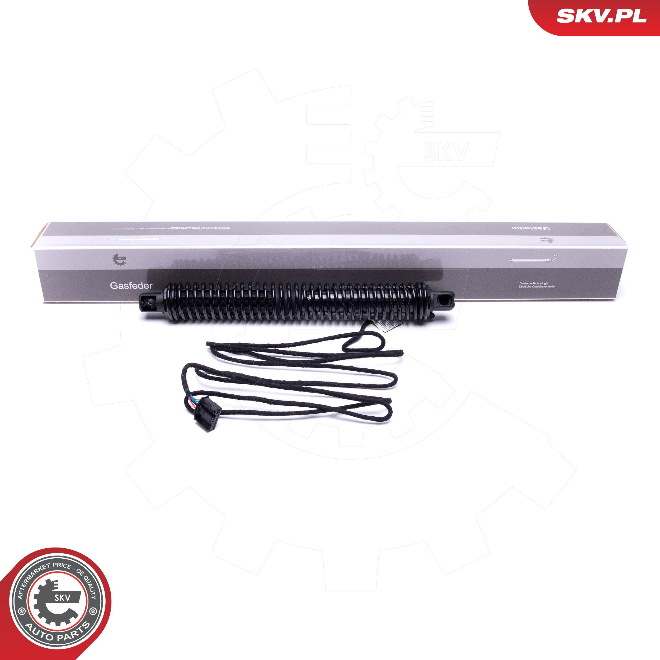 ESEN SKV 52SKV933 - Elektromotor, Heckklappe