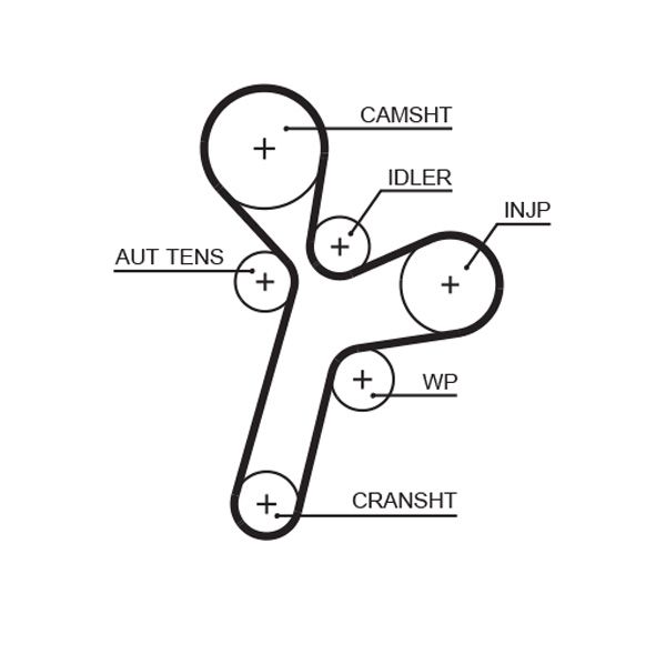 COURROIE DISTRIBUTION