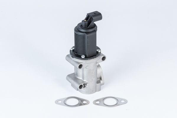 EGR Valve 710952R