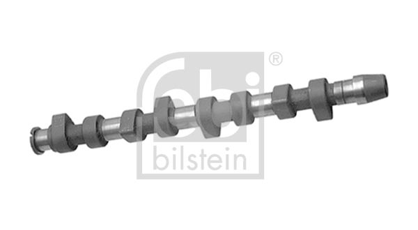 Camshaft 10011