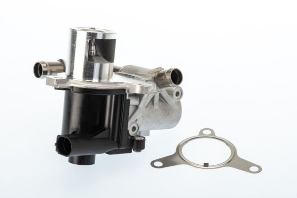 EGR Valve 710965D