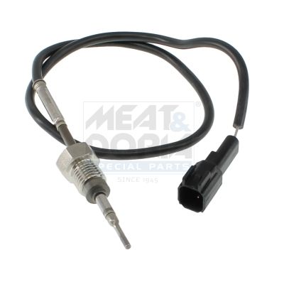 Sensor, Abgastemperatur