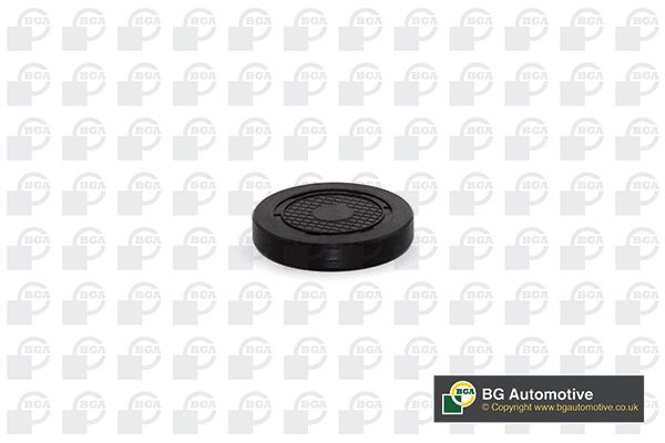 BGA PL4601 - Stopfen, Kipphebelwellen-Montagebohrung