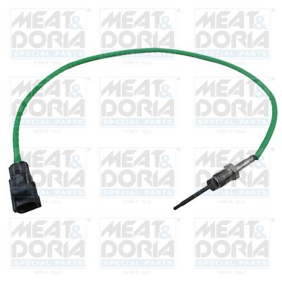 Sensor, exhaust gas temperature 12517