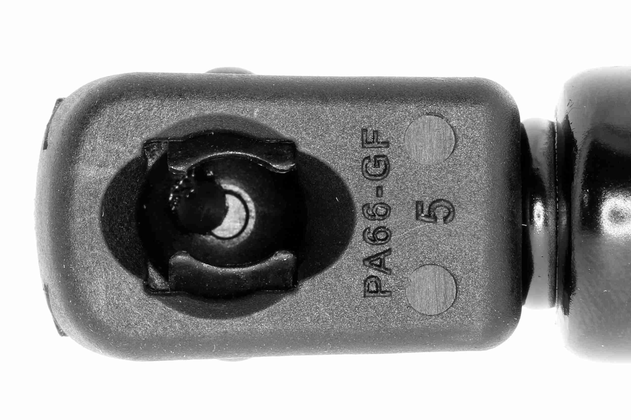 Gasfeder, Koffer-/Laderaum