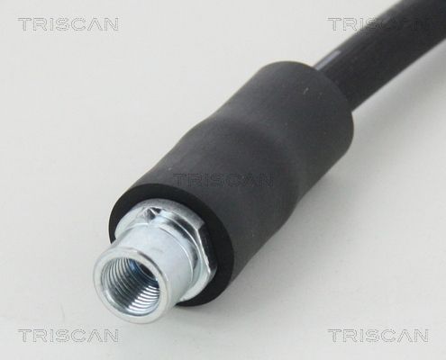 815029113_3.JPG