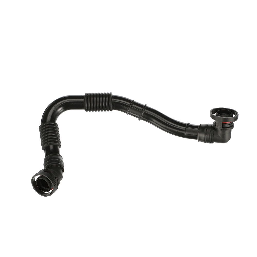 žarna, karterio alsuoklis