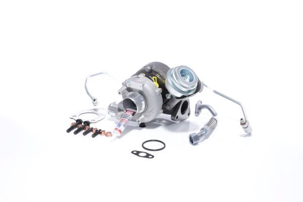 BTS Turbo T981038BT - Lader, Aufladung TURBO SERVICE SET BUDGET