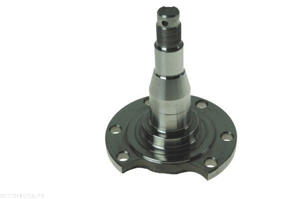 Achszapfen, Achskörper