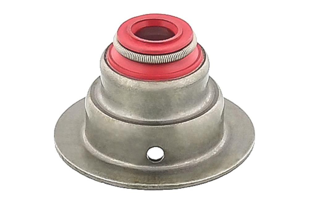 Dichtring, Ventilschaft
