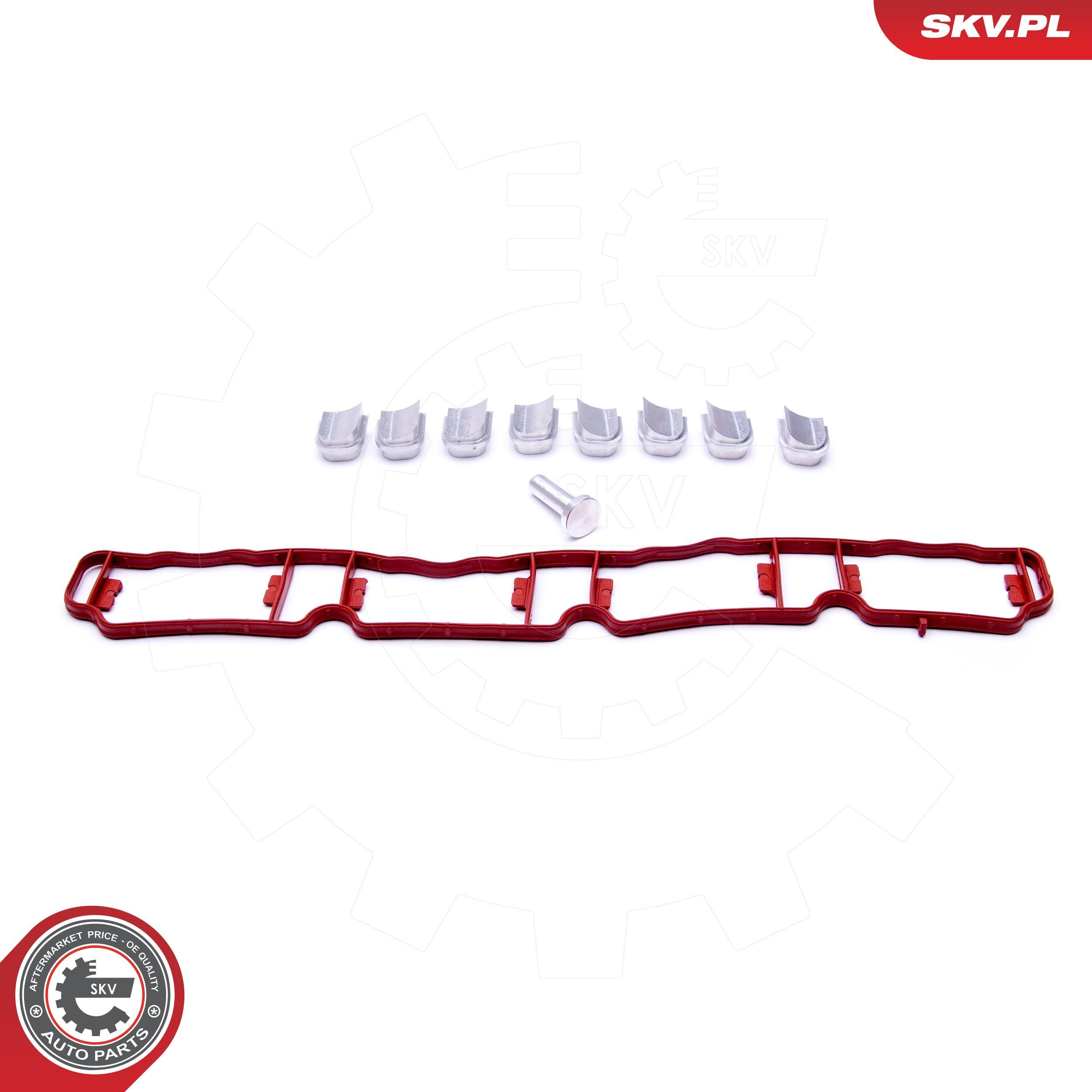 ESEN SKV 49SKV510 - Reparatursatz, Saugrohrmodul