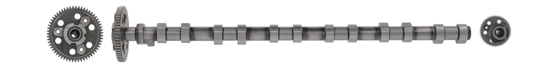 AE CAM1016 - Nockenwelle