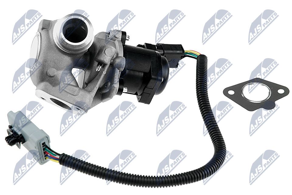 NTY EGR-FR-005 AGR-Ventil
