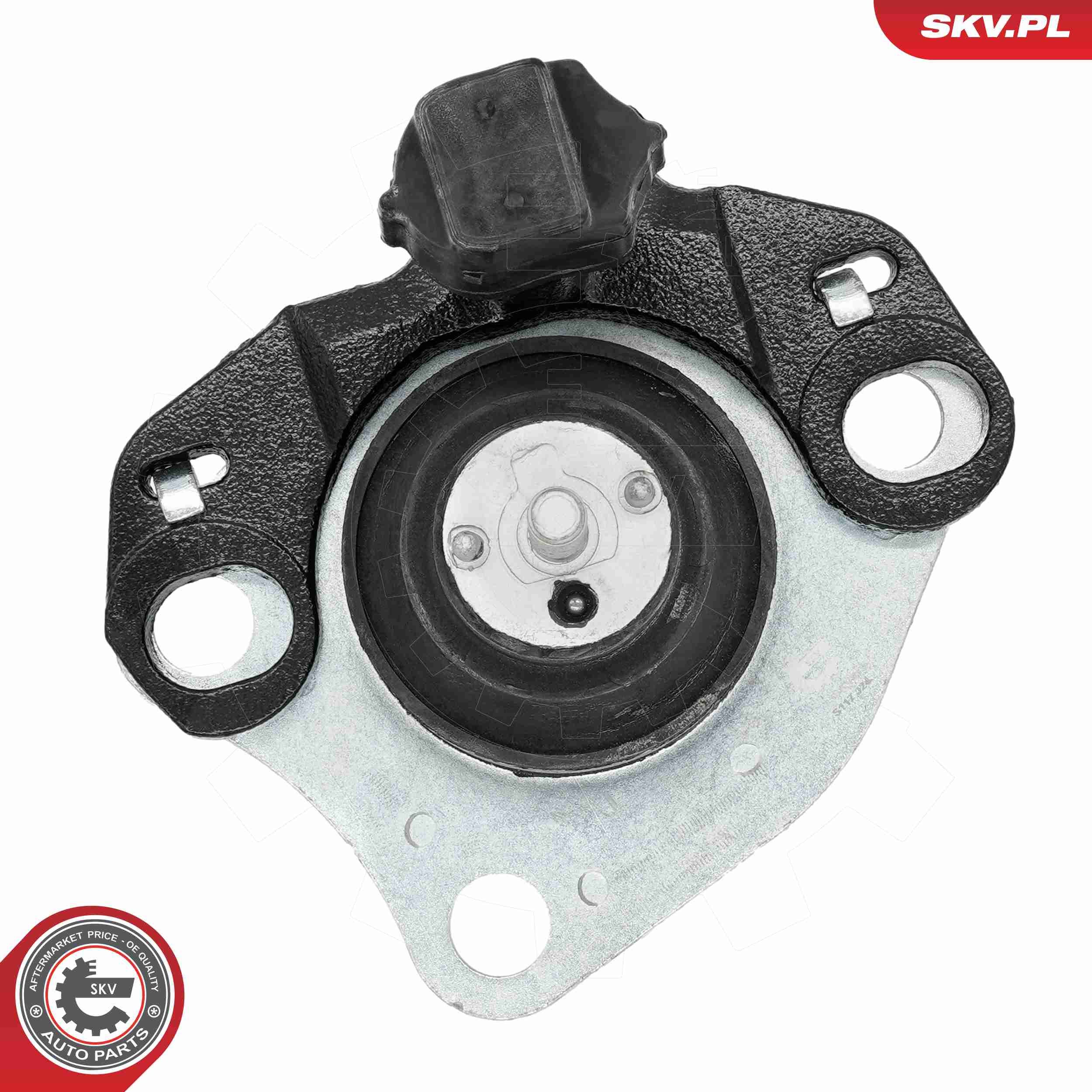ESEN SKV 75SKV019 - Lagerung, Motor