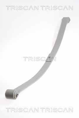 TRISCAN 8765 29020 Spring Pack