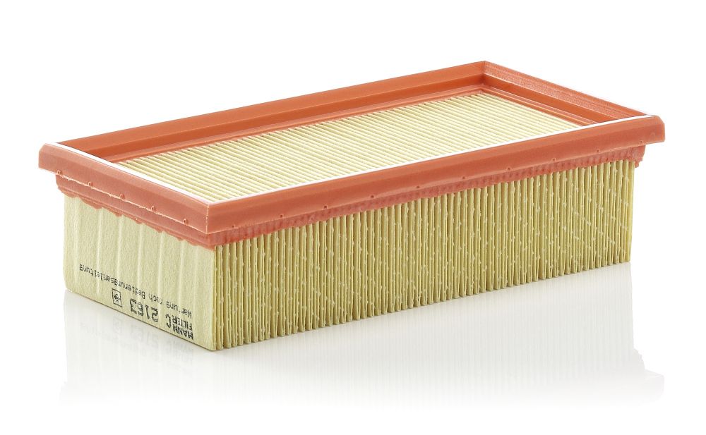 Air Filter C 2163