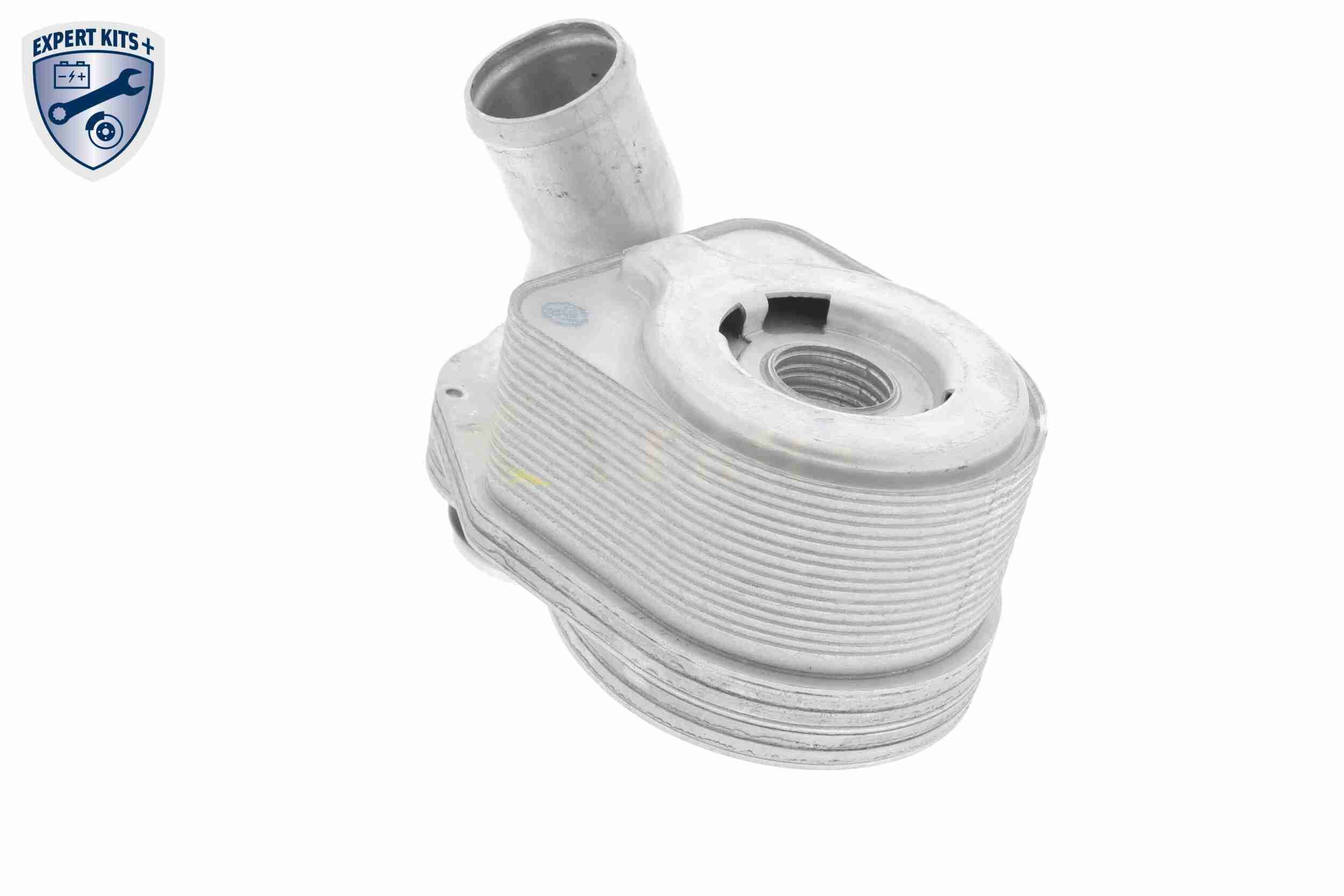 &Ouml;lk&uuml;hler, Motor&ouml;l