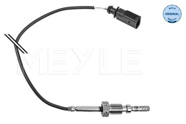 Sensor, Abgastemperatur