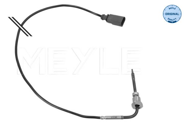 Sensor, Abgastemperatur