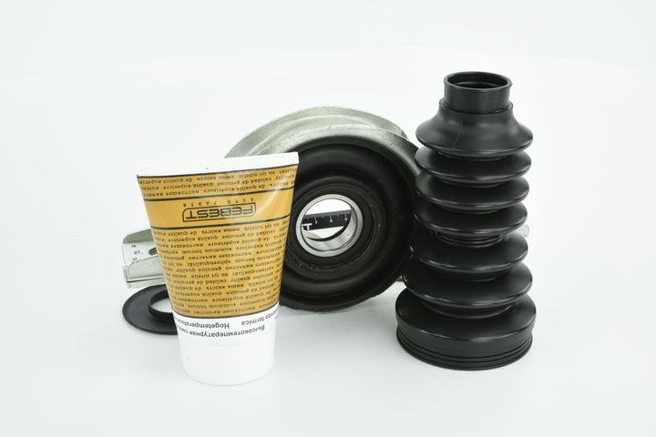 guolis, kardaninio veleno centrinis guolis