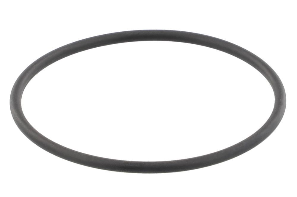 Dichtung, Thermostat
