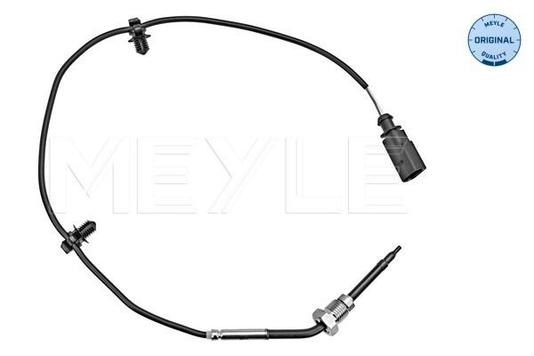 Sensor, Abgastemperatur