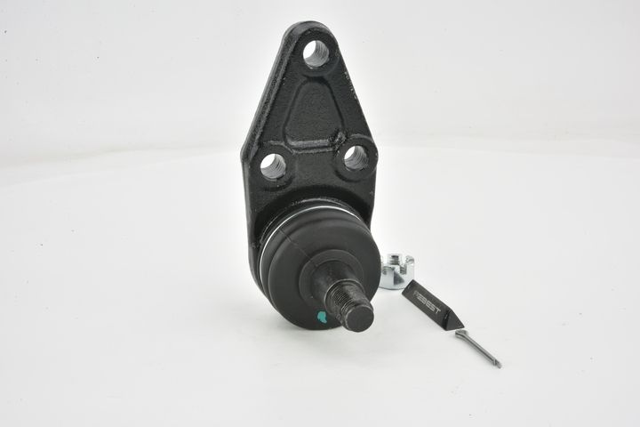 Šarnyras / girgždukas