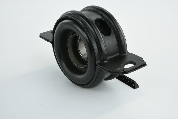 guolis, kardaninio veleno centrinis guolis