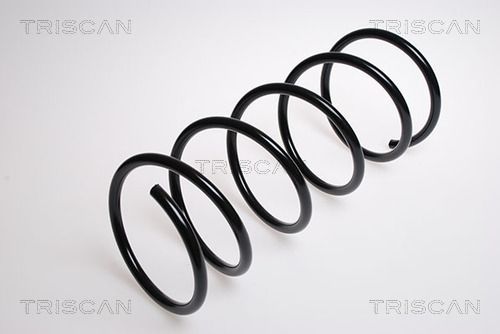 8750 2873 TRISCAN futómű rugó