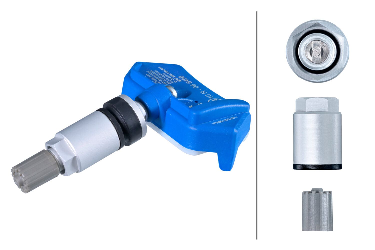 Radsensor, Reifendruck-Kontrollsystem