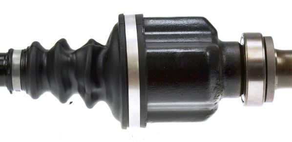 24873_305132C.JPG